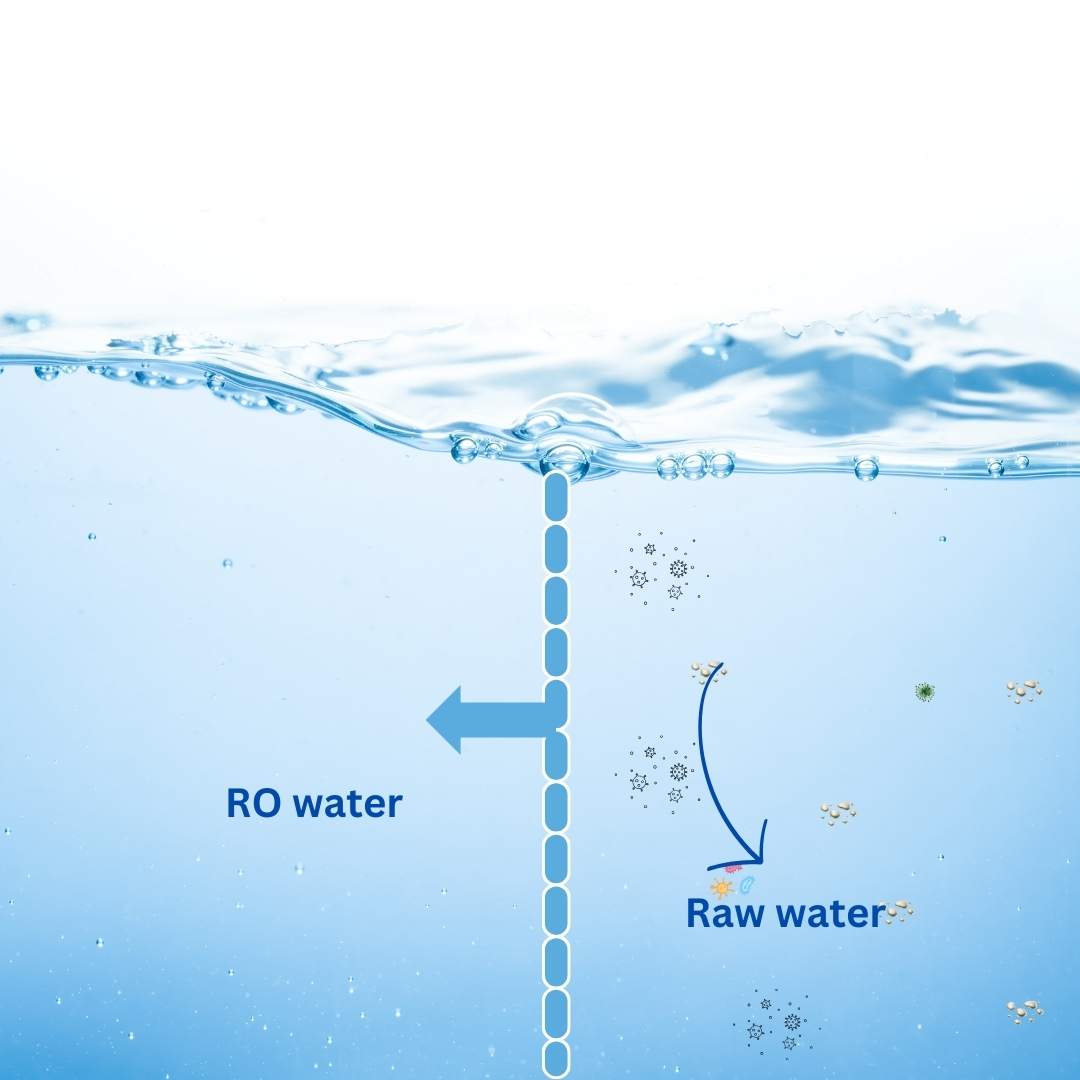 Raw Water vs RO Water comparison